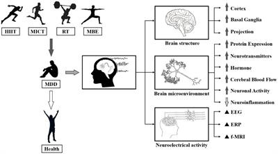 Effects and neural mechanisms of different physical activity on major depressive disorder based on cerebral multimodality monitoring: a narrative review